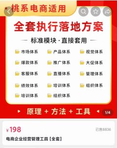 外面卖198·电商企业经营管理工具：全套执行落地方案 标准模块·直接套用白米粥资源网-汇集全网副业资源白米粥资源网