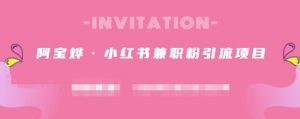阿宝烨·小红书兼职粉引流项目,流量大,引流效果好【视频课程】白米粥资源网-汇集全网副业资源白米粥资源网