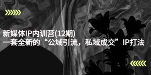 新媒体IP内训营(12期),一套全新的“公域引流,私域成交”IP打法,直接带走白米粥资源网-汇集全网副业资源白米粥资源网