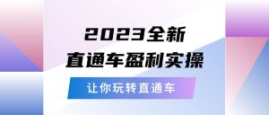 2023全新直通车·盈利实操:从底层,策略到搭建,让你玩转直通车白米粥资源网-汇集全网副业资源白米粥资源网