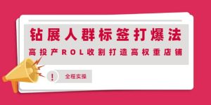 钻展人群标签打爆法,高投产ROL收割打造高权重店铺(全程实操)白米粥资源网-汇集全网副业资源白米粥资源网