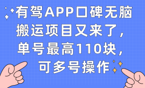 有驾APP口碑无脑搬运项目又来了,单号最高110块,可多号操作白米粥资源网-汇集全网副业资源白米粥资源网