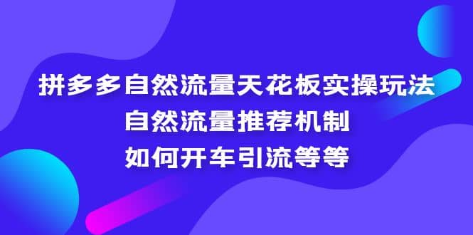 拼多多自然流量天花板实操玩法：自然流量推荐机制，如何开车引流等等白米粥资源网-汇集全网副业资源白米粥资源网