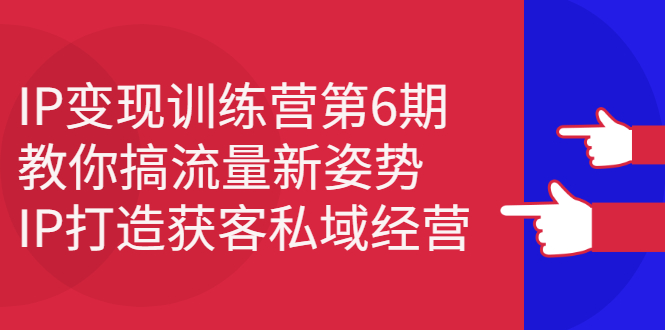 IP变现训练营第6期：教你搞流量新姿势，IP打造获客私域经营白米粥资源网-汇集全网副业资源白米粥资源网