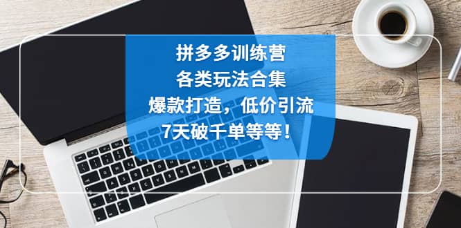 拼多多训练营：各玩法合集，爆款打造，低价引流，7天破千单等等白米粥资源网-汇集全网副业资源白米粥资源网