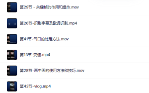 魏不惑:小白一学就会的短视频剪辑课,解决你日常剪辑重遇到的常见问题白米粥资源网-汇集全网副业资源白米粥资源网