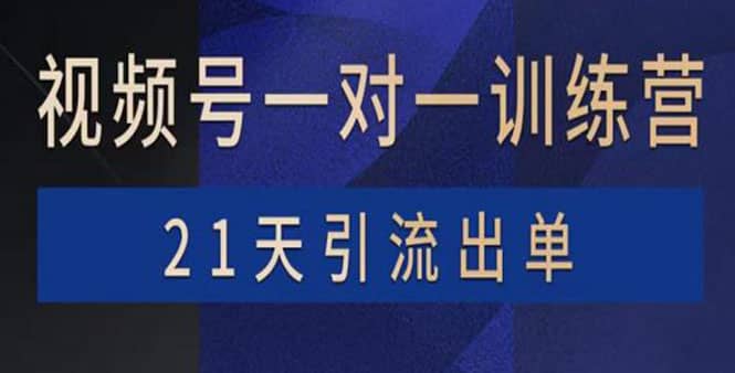 视频号训练营：带货，涨粉，直播，游戏，四大变现新方向，21天引流出单白米粥资源网-汇集全网副业资源白米粥资源网