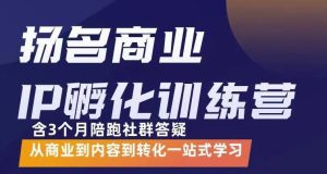 杨名商业IP孵化训练营,从商业到内容到转化一站式学 价值5980元白米粥资源网-汇集全网副业资源白米粥资源网