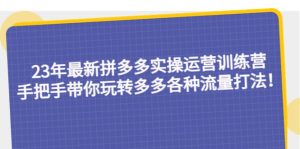 23年最新拼多多实操运营训练营：手把手带你玩转多多各种流量打法！白米粥资源网-汇集全网副业资源白米粥资源网