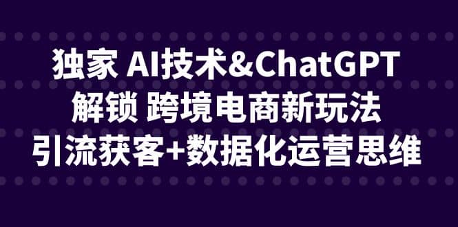 独家 AI技术ChatGPT解锁 跨境电商新玩法，引流获客 数据化运营思维白米粥资源网-汇集全网副业资源白米粥资源网