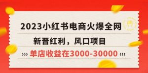 2023小红书电商火爆全网，新晋红利，风口项目，单店收益在3000-30000白米粥资源网-汇集全网副业资源白米粥资源网
