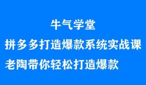 牛气学堂拼多多打造爆款系统实战课,老陶带你轻松打造爆款白米粥资源网-汇集全网副业资源白米粥资源网