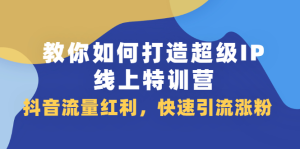 教你如何打造超级IP线上特训营,抖音流量红利新机遇白米粥资源网-汇集全网副业资源白米粥资源网