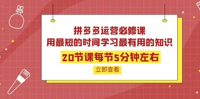 拼多多运营必修课：20节课每节5分钟左右，用最短的时间学习最有用的知识白米粥资源网-汇集全网副业资源白米粥资源网