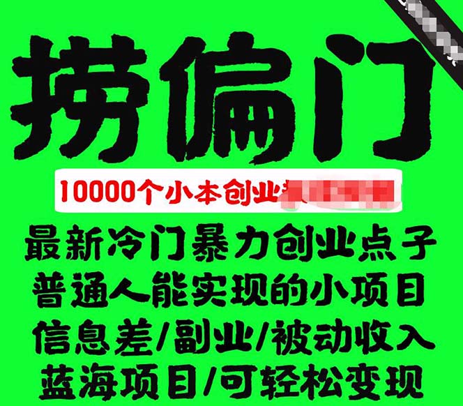 千款捞偏门小本创业小项目，总有一款适合你【无水印】白米粥资源网-汇集全网副业资源白米粥资源网