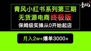 小红书无货源电商爆单终极版【视频教程 实战手册】保姆级实操从0起店爆单白米粥资源网-汇集全网副业资源白米粥资源网