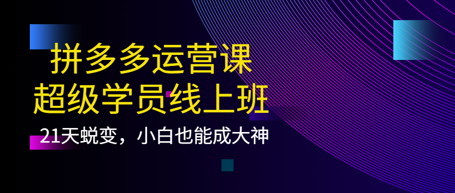 拼多多运营课：超级学员线上班，21天蜕变，小白也能成大神白米粥资源网-汇集全网副业资源白米粥资源网