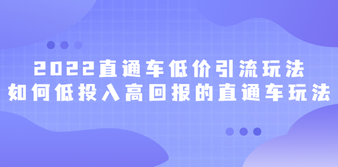 2022直通车低价引流玩法，教大家如何低投入高回报的直通车玩法白米粥资源网-汇集全网副业资源白米粥资源网