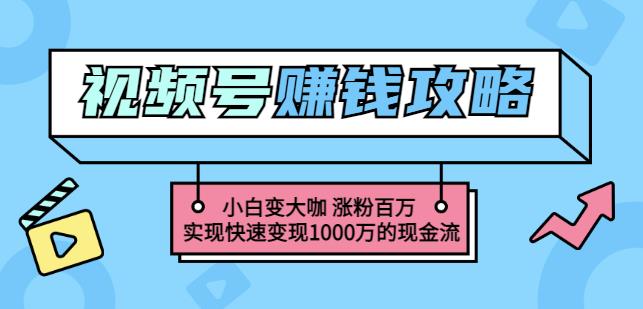 玩转微信视频号赚钱：小白变大咖涨粉百万实现快速变现1000万的现金流白米粥资源网-汇集全网副业资源白米粥资源网