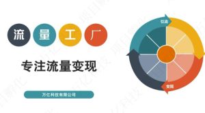 收费3980的流量工厂回粉项目，号称1个粉10元【详细玩法教程解析】白米粥资源网-汇集全网副业资源白米粥资源网