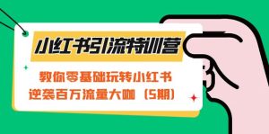 小红书引流特训营-第5期:教你零基础玩转小红书,逆袭百万流量大咖白米粥资源网-汇集全网副业资源白米粥资源网