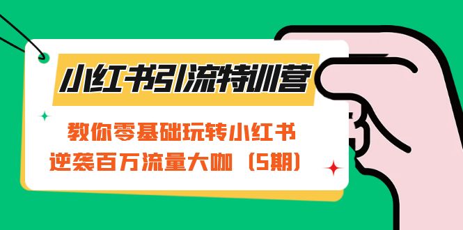 小红书引流特训营-第5期：教你零基础玩转小红书，逆袭百万流量大咖白米粥资源网-汇集全网副业资源白米粥资源网