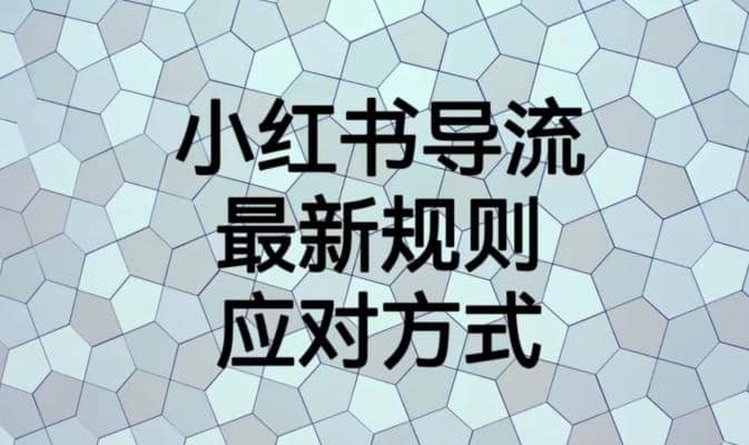 小红书导流最新规则应对方式【揭秘】白米粥资源网-汇集全网副业资源白米粥资源网