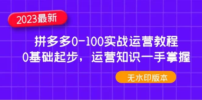 2023拼多多0-100实战运营教程，0基础起步，运营知识一手掌握（无水印）白米粥资源网-汇集全网副业资源白米粥资源网