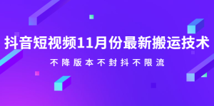 抖音短视频11月份最新搬运技术,不降版本不封抖不限流!【视频课程】白米粥资源网-汇集全网副业资源白米粥资源网