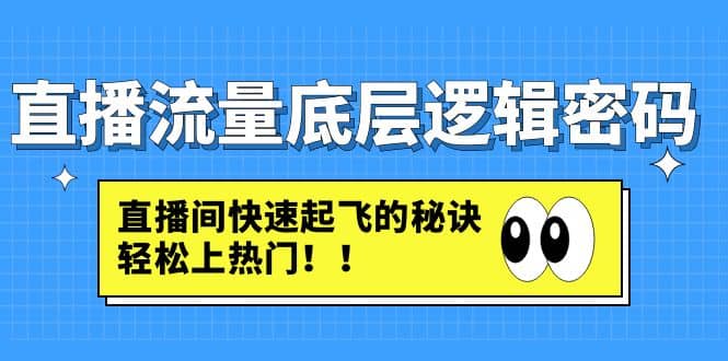 直播流量底层逻辑密码：直播间快速起飞的秘诀，轻松上热门白米粥资源网-汇集全网副业资源白米粥资源网