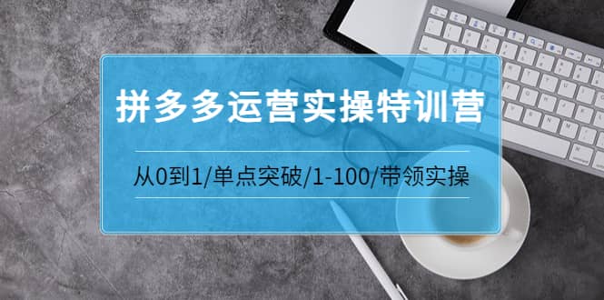 青云:拼多多运营实操特训营：从0到1/单点突破/1-100/带领实操 价值2980元白米粥资源网-汇集全网副业资源白米粥资源网