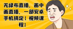 无绿布直播,画中画直播,一部安卓手机搞定【视频课程】白米粥资源网-汇集全网副业资源白米粥资源网