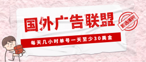 外面收费1980最新国外LEAD广告联盟搬砖项目，单号一天至少30美元(详细教程)白米粥资源网-汇集全网副业资源白米粥资源网