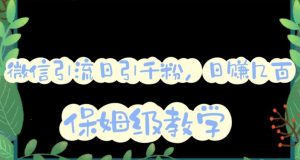 微信互推圈半自动引流方案,矩阵操作日引千人思路【详细视频教程】白米粥资源网-汇集全网副业资源白米粥资源网