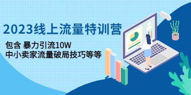 2023线上流量特训营：中小卖家流量破局技巧等等白米粥资源网-汇集全网副业资源白米粥资源网