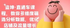 盗坤·直通车课程,教你多维度筛选分析数据,优化店铺及流量增长白米粥资源网-汇集全网副业资源白米粥资源网