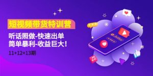 短视频带货特训营（11 12 13期）听话照做-快速出单白米粥资源网-汇集全网副业资源白米粥资源网