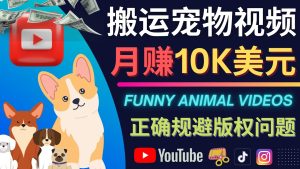 搬运TIKTOK视频到YouTube,并进行二次创作,月赚1万美元以上白米粥资源网-汇集全网副业资源白米粥资源网