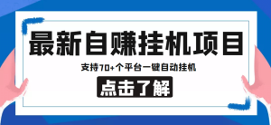 【低保项目】最新自赚安卓手机阅读挂机项目，支持70 个平台 一键自动挂机白米粥资源网-汇集全网副业资源白米粥资源网