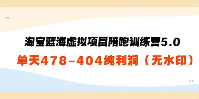 黄岛主：淘宝蓝海虚拟项目陪跑训练营5.0：单天478纯利润（无水印）白米粥资源网-汇集全网副业资源白米粥资源网