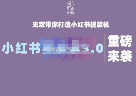 谢无敌·小红书实战营3.0，无敌带你打造小红书提款机 价值7999元白米粥资源网-汇集全网副业资源白米粥资源网