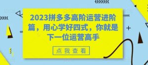2023拼多多高阶运营进阶篇，用心学好四式，你就是下一位运营高手白米粥资源网-汇集全网副业资源白米粥资源网