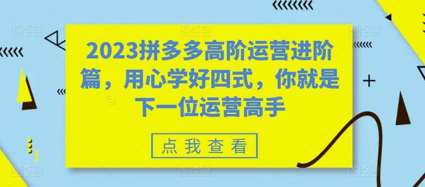 2023拼多多高阶运营进阶篇，用心学好四式，你就是下一位运营高手白米粥资源网-汇集全网副业资源白米粥资源网