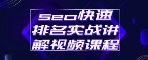 seo快速排名实战讲解视频课程,揭秘seo快排原理白米粥资源网-汇集全网副业资源白米粥资源网