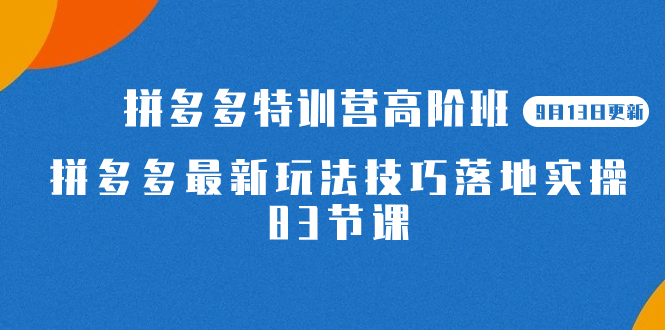 2023拼多多·特训营高阶班【9月13日更新】拼多多最新玩法技巧落地实操-83节白米粥资源网-汇集全网副业资源白米粥资源网