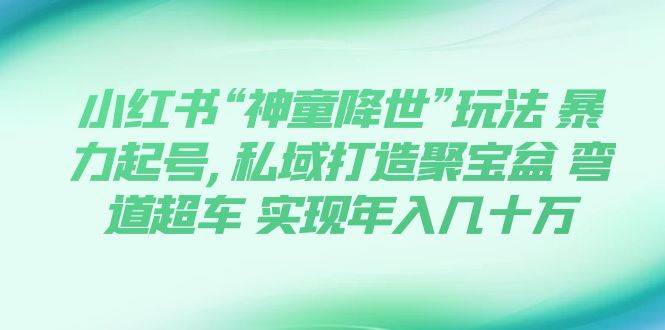 小红书“神童降世”玩法 暴力起号,私域打造聚宝盆 弯道超车 实现年入几十万白米粥资源网-汇集全网副业资源白米粥资源网