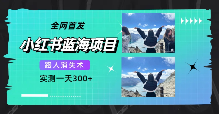 全网首发，小红书蓝海项目，路人消失术，实测一天300 （教程 工具）白米粥资源网-汇集全网副业资源白米粥资源网