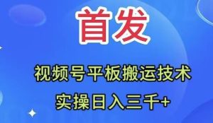 全网首发：视频号平板搬运技术，实操日入三千＋白米粥资源网-汇集全网副业资源白米粥资源网