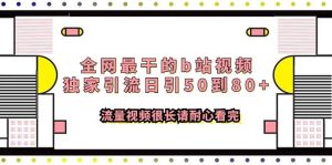 全网最干的b站视频独家引流日引50到80 流量视频很长请耐心看完白米粥资源网-汇集全网副业资源白米粥资源网