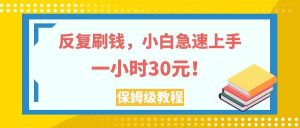 反复刷钱，小白急速上手，一个小时30元，实操教程。白米粥资源网-汇集全网副业资源白米粥资源网